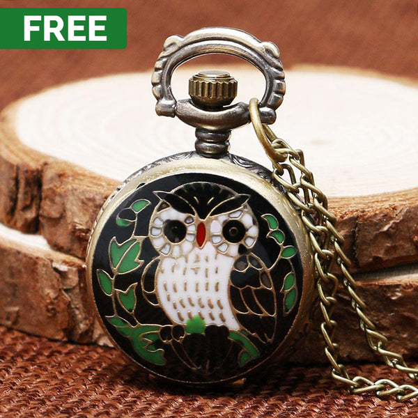 FREE : Mini Owl Bronze Pocket Watch